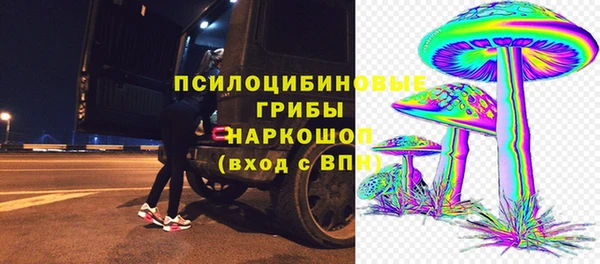 индика Алексеевка