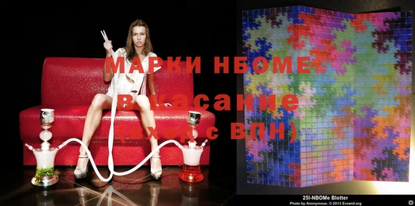 ПСИЛОЦИБИНОВЫЕ ГРИБЫ Алзамай