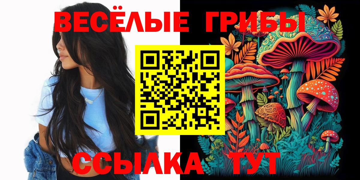 Псилоцибиновые грибы GOLDEN TEACHER Саранск