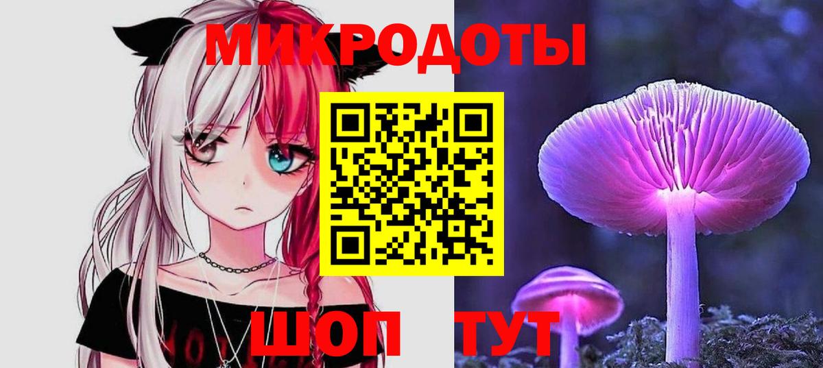 Саранск  наркотики  Вход с VPN  Псилоцибиновые грибы Psilocybe 